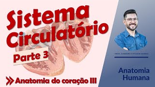 Sistema Circulatório - Aula 03 - Anatomia do coração III - Anatomia Humana