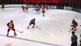 Detroit Red Wings vs Carolina Hurricanes NHL Prospect Tournament