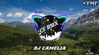 DJ Camelia ( H. Rhoma Irama ) Dangdut Remix by CF RMX