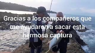 pesca de jurel en roca del sábalo limón Costa Rica