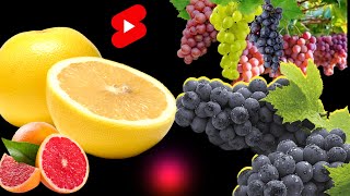 Best skill how to grow Grape tree from Grapefruit in water