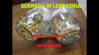 GERMOGLI FATTI IN CASA!!  Semplici e gustosi... #vegan #eating