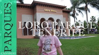 Visita al Loro Parque | Tenerife