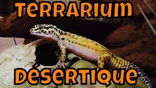 Gecko Leopard : Le Terrarium