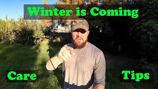 Winter is Coming | Winter Care Tips