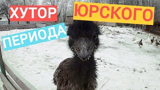 Ворчу на "Одного в деревне"! За́мок для лягушки. Клуб бисероплетения.