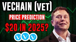 Elon Musk: Vechain will hit $20 2025 | VET Price Prediction 2021 & Long Term