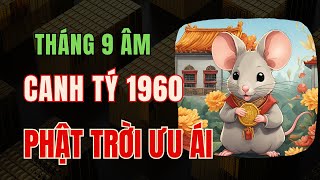 Tử Vi Tuổi Canh Tý 1960. Tháng 9 Âm: Tránh Hoạ Đắc Lộc Giàu Sang, Phật Trời Ưu Ái, Thu Hái Bộn Tiền