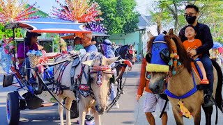 KUDA DELMAN - LAGU DELMAN ISTIMEWA TERBARU - NAIK KUDA - HORSE VIDEO