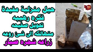 حيل منزلية مفيدة فكره رهيبه تحويل صفيحه متهالكه الى شئ روعه  زراعه شجره صبار بدون اى تكاليف