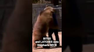 Grizzly Bear LOSES IT