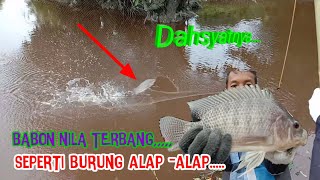 NANGKUL || AIR SURUT AKHIRNYA PASANG JUGA II BABON NILA TERBANG SEPERTI BURUNG ALAP-ALAP Eps. 2