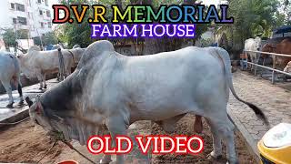 D.V.R MEMORIAL FRAM HOUSE KANURU VIJAYAWADA #ongolebulls @DVRMEMORIAL