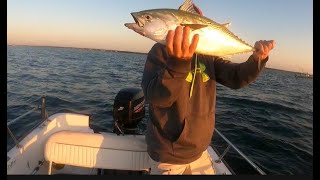 TRIPS ON THE BOAT S3:E14. CAPE COD False Albacore