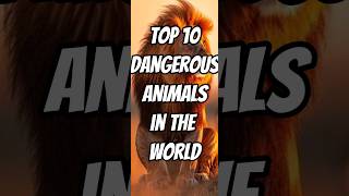 Top 10 Danderous Animals In The World😱#shorts