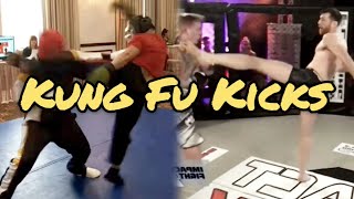 Kung Fu Kicks! | Round House Kicks Come in all Shapes and Forms #kungfu #taichi #kickboxing