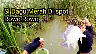 Spot Mancing Viral Dan Potensial