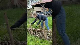 Making another wooded bank🪵 #homestead #garden #shorts #gardening #happy #plantingseason #wood#cat