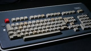 Vintage Keyboard Thocks | Wang Terminal Keyboard | Micro Switch SD Series (Linear)