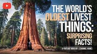 The World's Oldest Living Things: Surprising Facts!