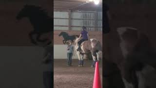 Riding axle #dressage #shortvideos #horses #showjumping #jumping #equestrian #viralvideos #horsegirl