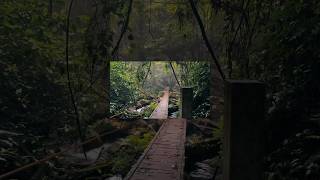 Ekspedisi Lembah Purba - Jembatan Gantung Situgunung, Sukabumi. Recommended short trek for all!!