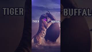 A hybrid Tiger & Buffalo, do you believe?#shorts #viralshorts #ai #4k