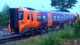 Trains at Tyseley - 28/06/23