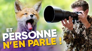 Le MEILLEUR réglage pour la photo animalière