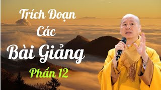 Tổng Hợp Trích Đoạn Các Bài Giảng Của TT.TS. Thích Chân Quang | Phần 12