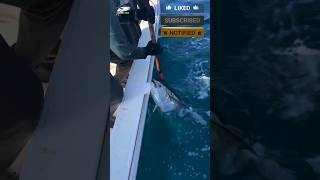 See How to catch Big tuna fish in the sea UAE 😱🎣#fishvideo #fishing #foryou #sea #tuna #bigtuna