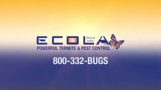 ECOLA's Effective Alternative to Traditional Fumigation