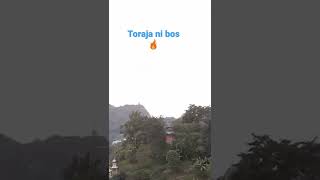 Toraja ni bos 🔥