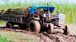 swaraj 744XT Tractor 🚜 trolley full load 🥵 how to tractor drive #swaraj #farming #skmachineindia ।