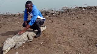 How I Came Out From The Pond Full of Over 200 Crocodiles in Paga