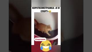 Спортик #shorts #приколы #2022 #рекомендации #смешныекоты