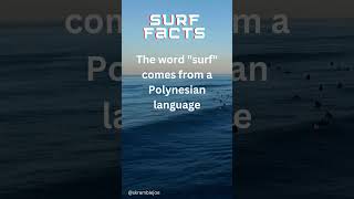 Surf Facts 7 #gosurfing