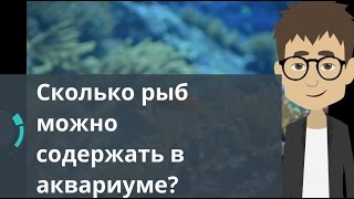 Сколько рыб можно содержать в аквариуме