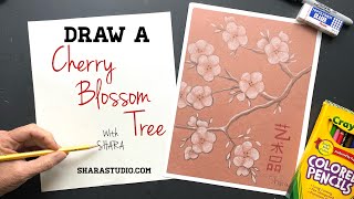 How to draw a cherry blossom tree