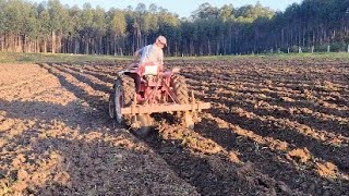 Agrale no Aleirador de Disco ! Fazendo vergas para mandioca e batata !!