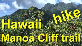 Hawaii’s Manoa Cliff Hiking Trail