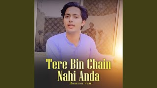 Tere Bin Chain Nahi Anda