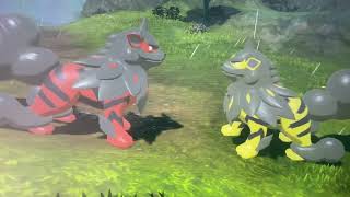 Shiny Arcanine meets red Arcanine Pokémon legends: Arceus