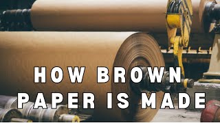 From Wood to Wrap: The Journey of Brown Paper