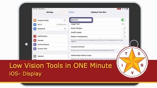 Low Vision Tools in ONE Minute: iOS- Display