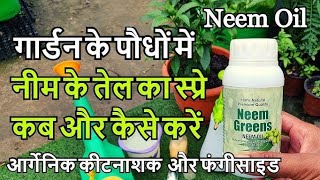 Plant par neem oil ka spray kaise kare/neem oil spray on plant/#thegrounddiaries#gardening #neemoil