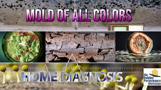 Moldy House in a Moldy World (Mycotoxins, Black Mold, Dry Rot, & Inspection)-Ep309 of HOME DIAGNOSIS