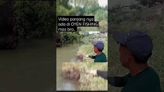 Pastikan Air Sungai Jernih Dulu Kalau Mancing Tehnik Pecut #shorts