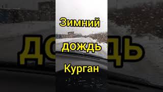 1 декабря курган