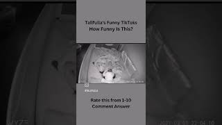 Tallfulla's Funny TikToks #shorts #funnybaby  #babys #funnytiktoks #funny #funnyvideos #funnyshorts